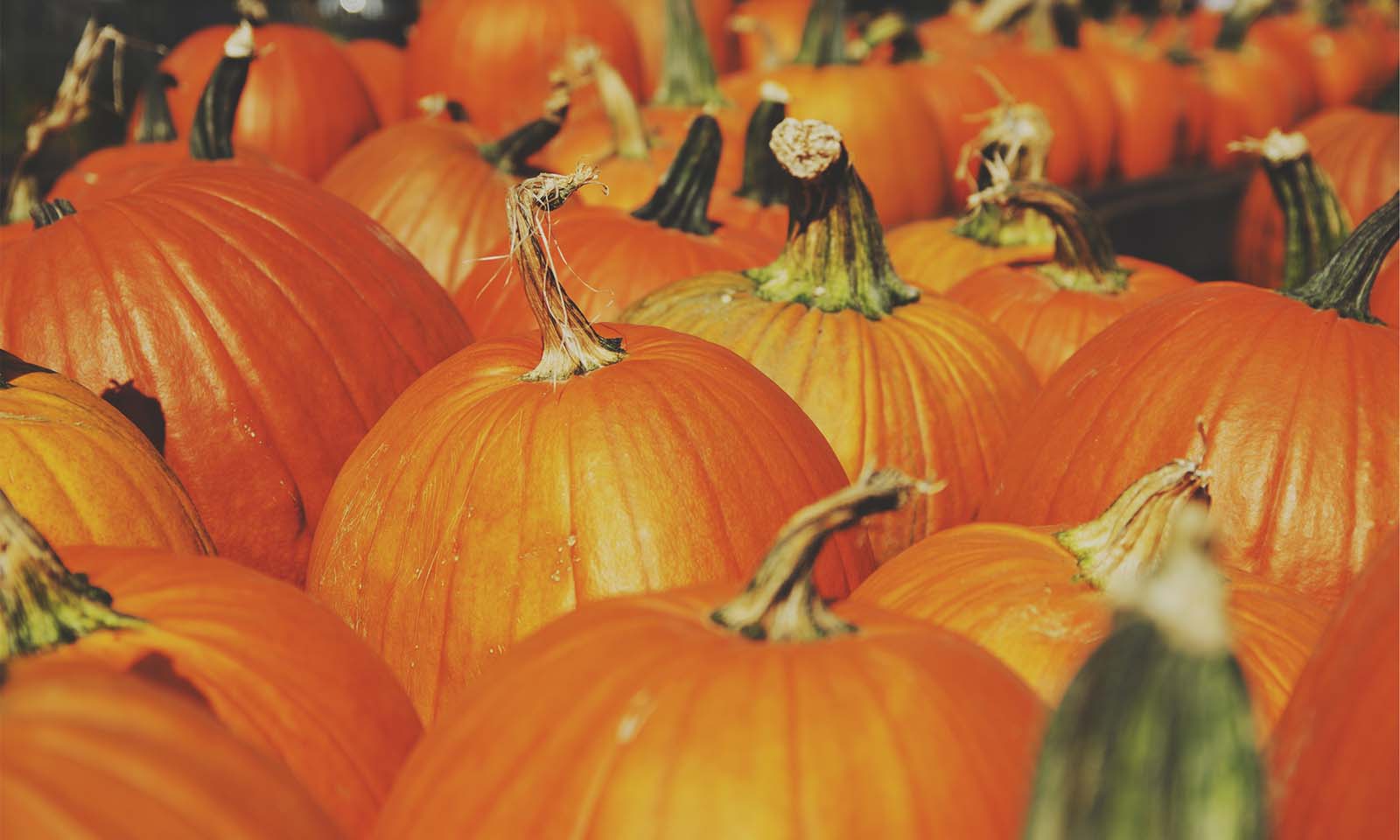 秋に忙しい職業と暇な職業 パソコンインストラクターの仕事場 Y S Work