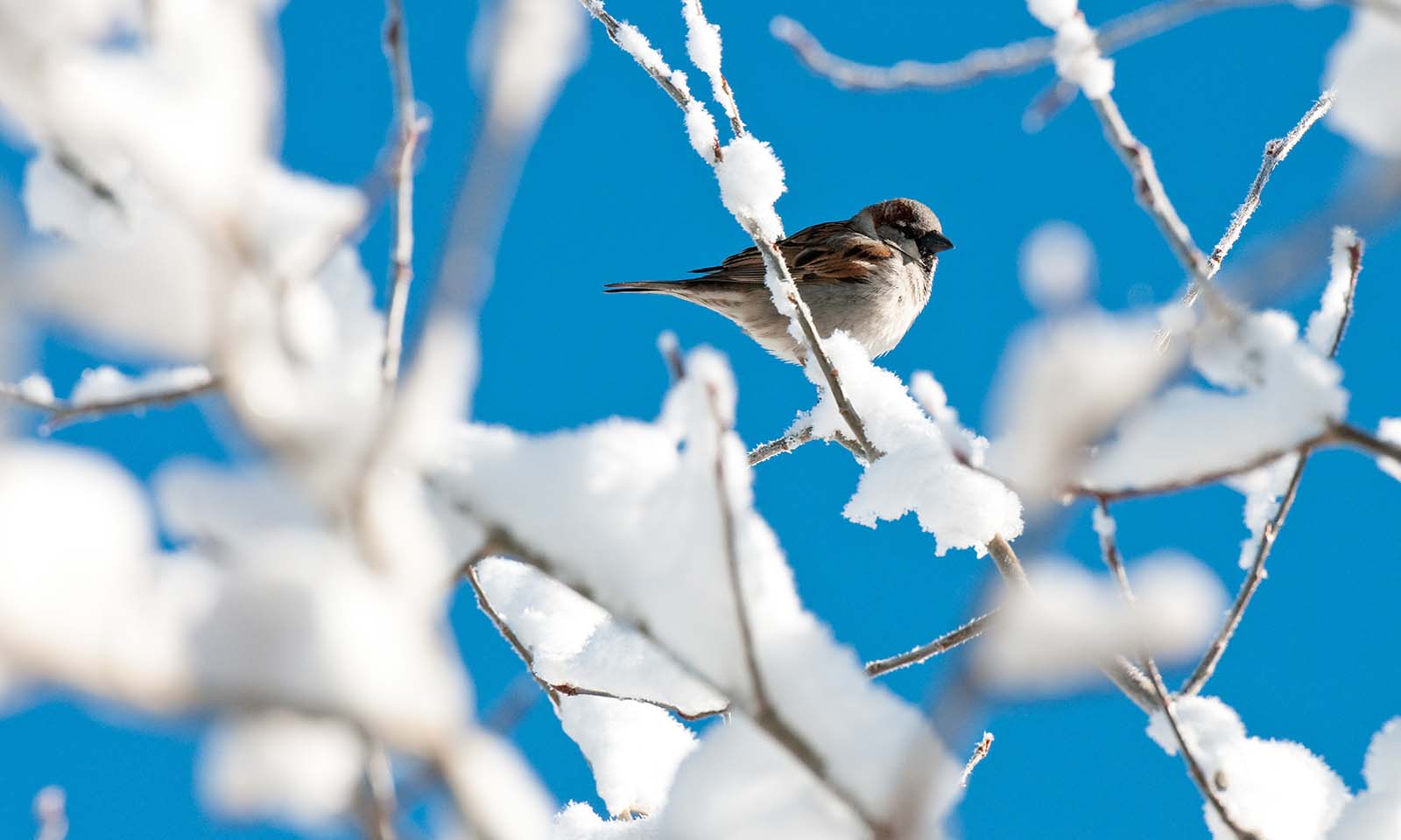 信用」と「信頼」の違いからみる自分が歩んできたインストラクターの歴史 | MINAel Yoga
