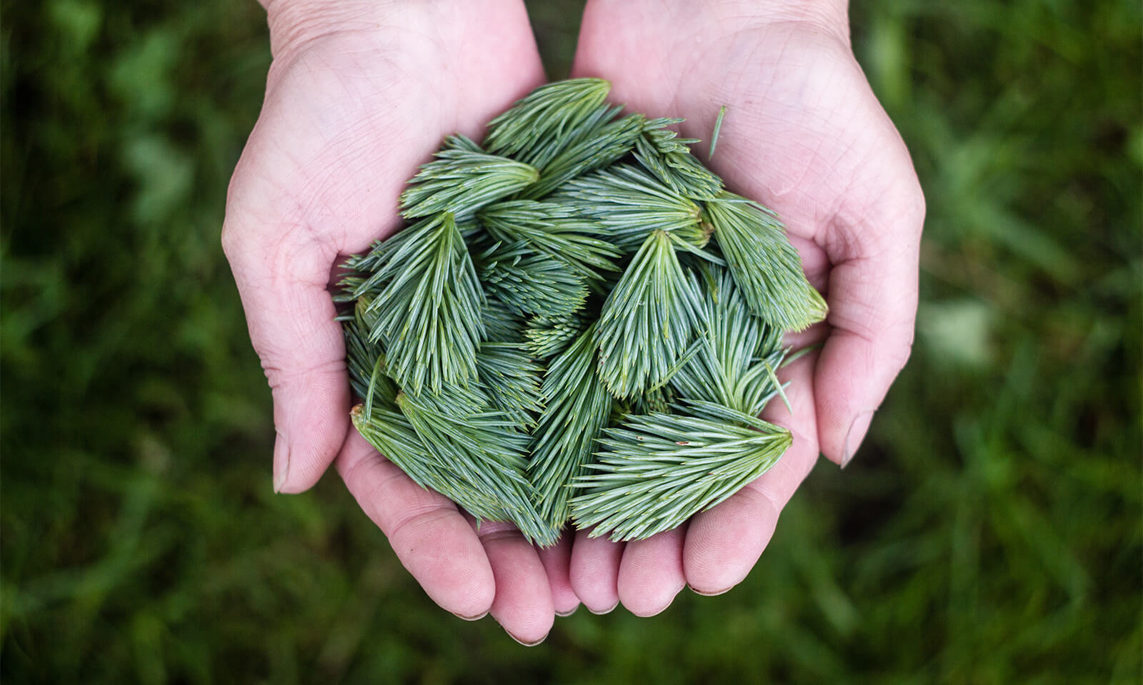 イギリス大学受験記 志望校の決め方とポイント C Est La Vie